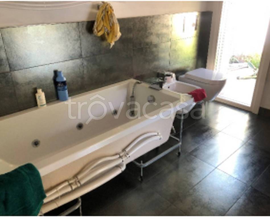 immagine annuncio 9 di 12