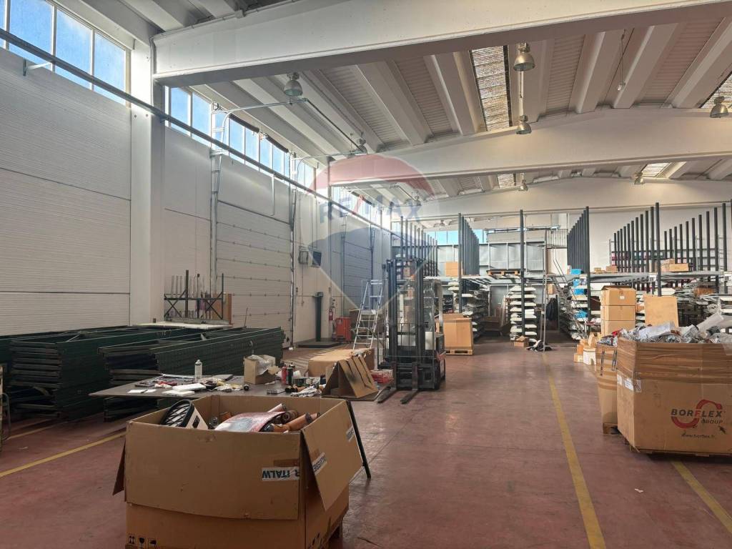 immagine annuncio 12 di 15