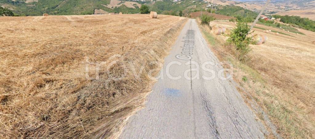 immagine annuncio 5 di 11