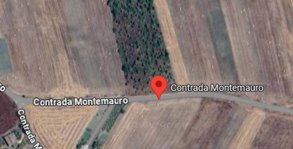 immagine annuncio 10 di 11