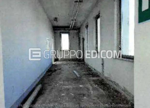 immagine annuncio 4 di 8