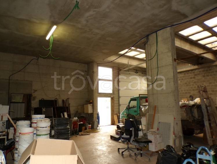 immagine annuncio 9 di 14