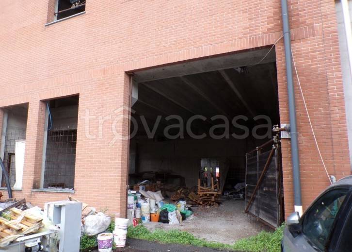 immagine annuncio 10 di 14