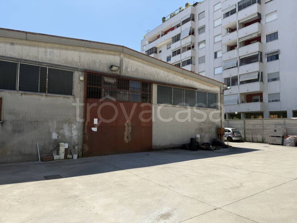 immagine annuncio 2 di 6