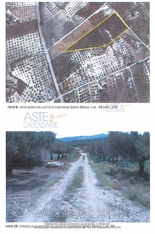 immagine annuncio 1 di 6