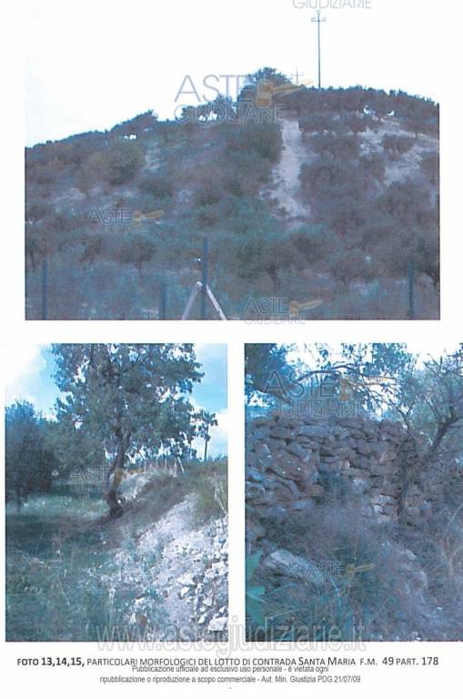 immagine annuncio 3 di 6