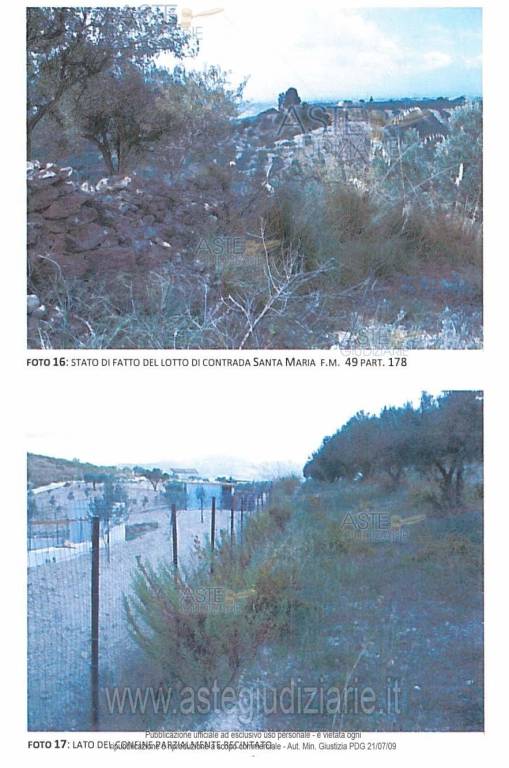 immagine annuncio 4 di 6