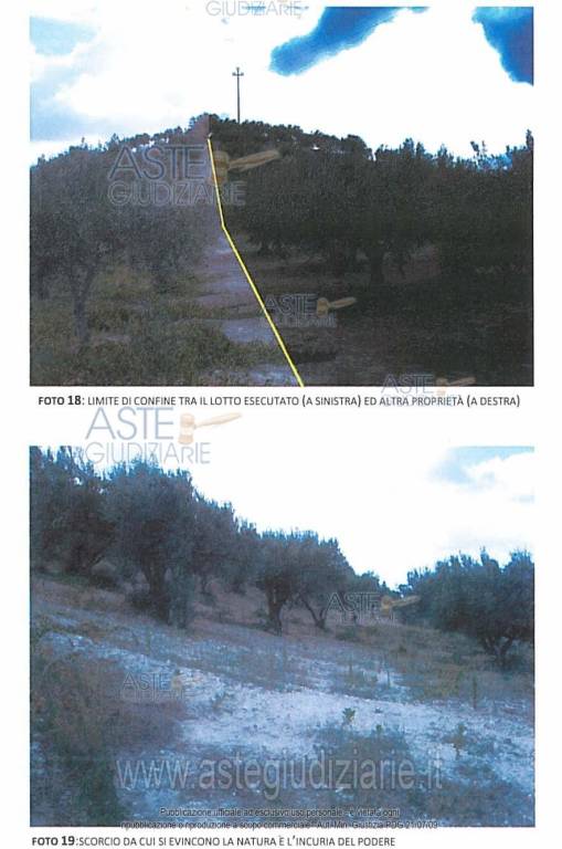 immagine annuncio 5 di 6