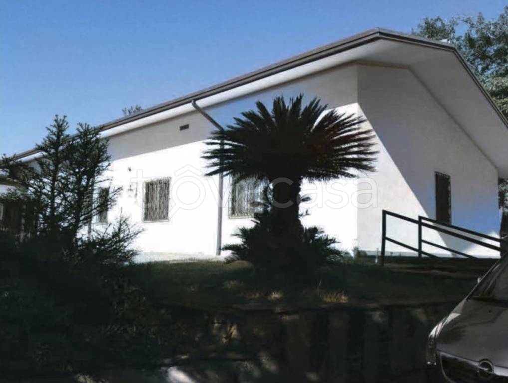 immagine annuncio 3 di 12