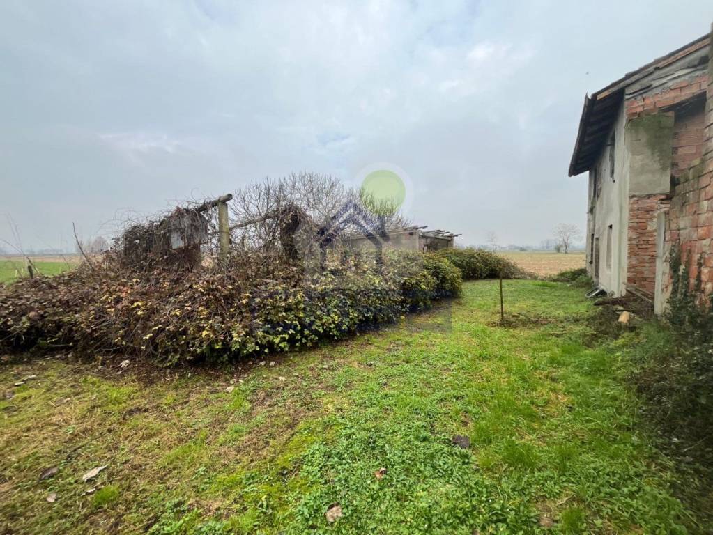 immagine annuncio 1 di 7