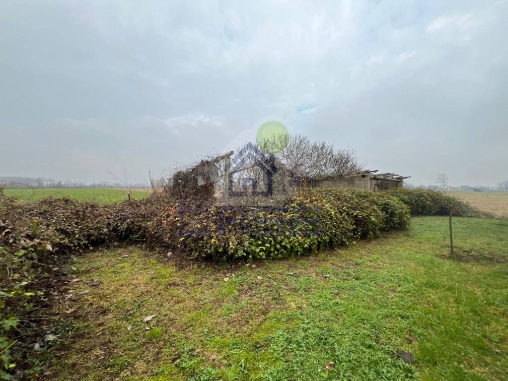 immagine annuncio 2 di 7