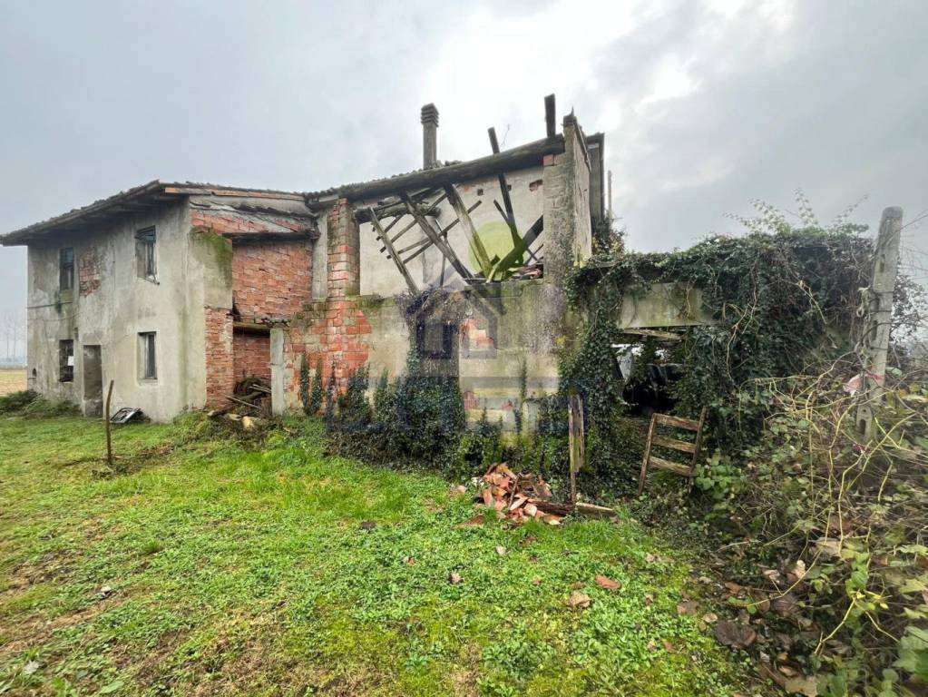 immagine annuncio 3 di 7