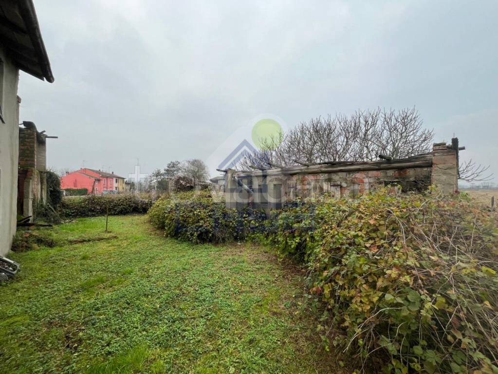 immagine annuncio 5 di 7