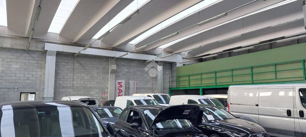 immagine annuncio 3 di 10