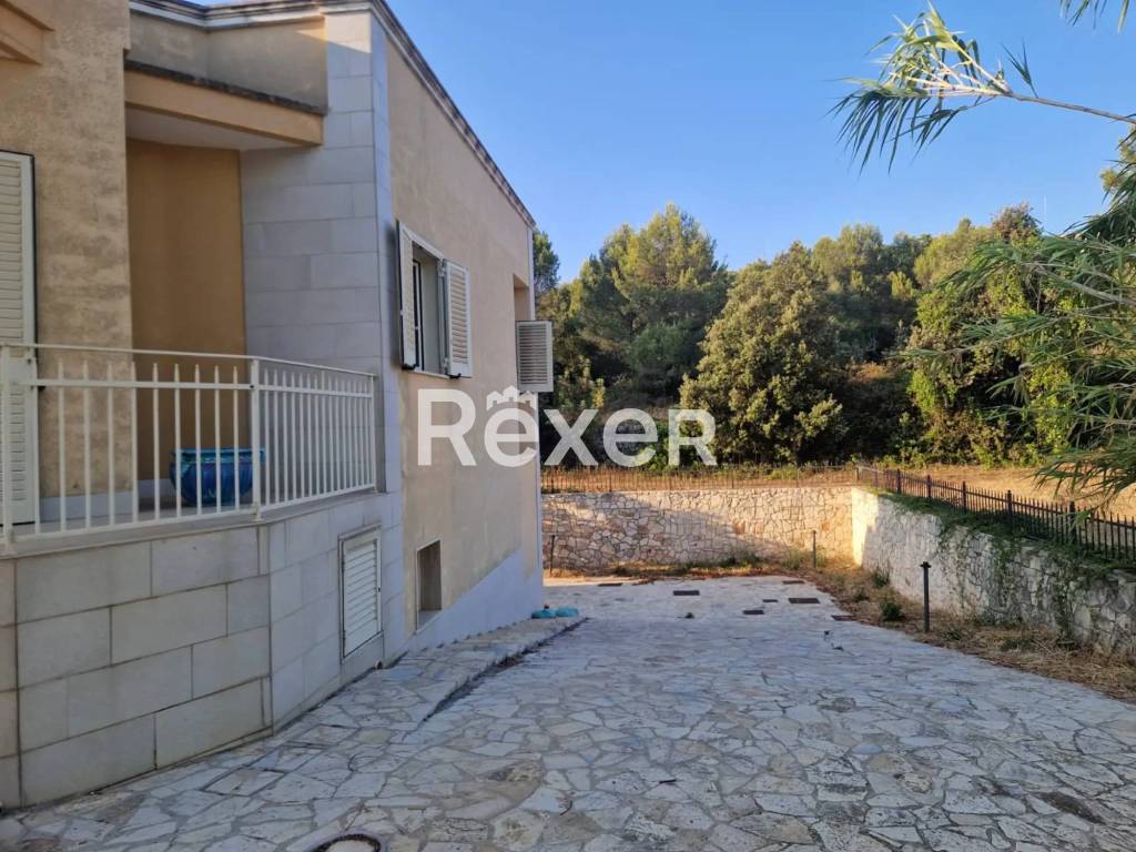 immagine annuncio 2 di 14