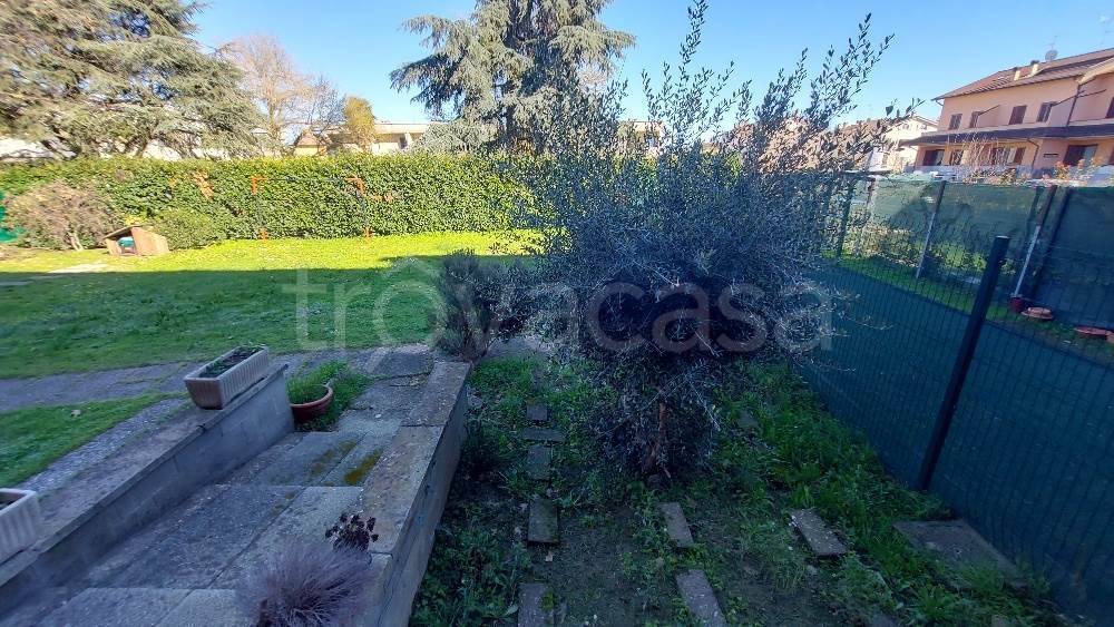 immagine annuncio 3 di 11