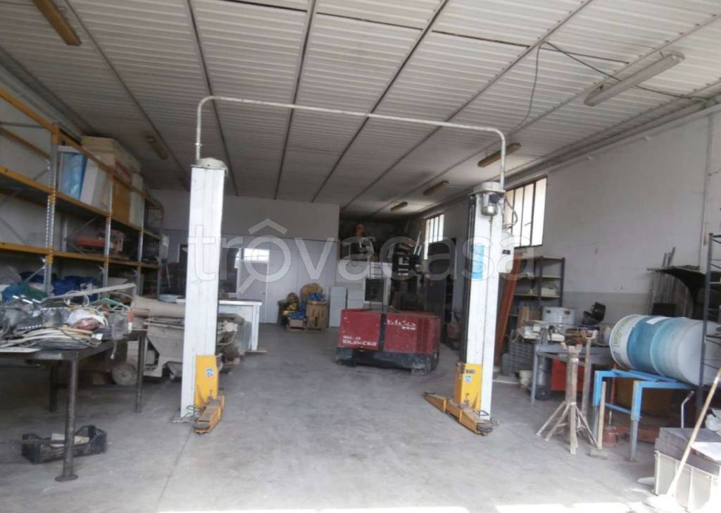 immagine annuncio 5 di 15