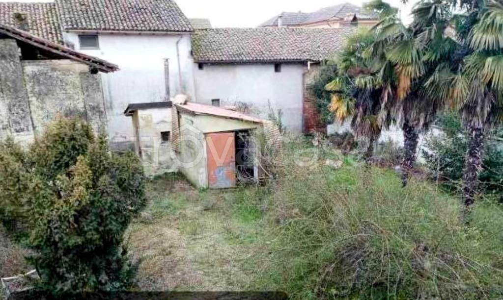 immagine annuncio 4 di 8