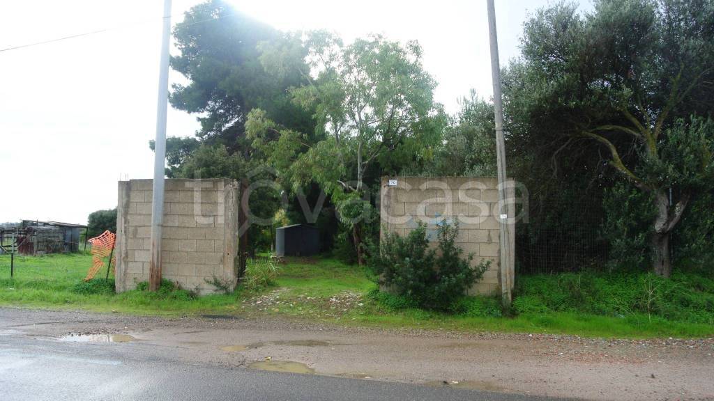 immagine annuncio 2 di 11