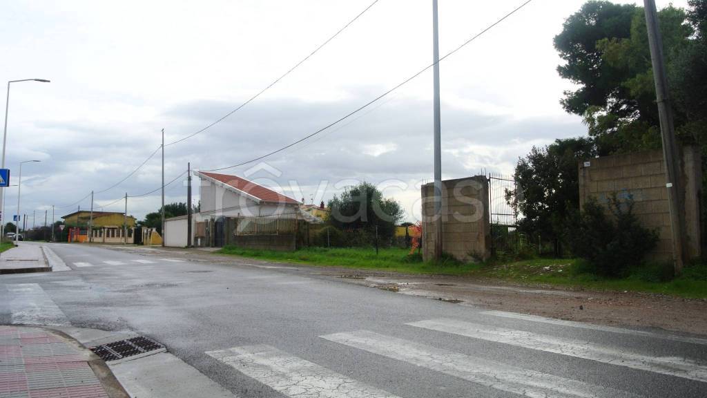 immagine annuncio 4 di 11