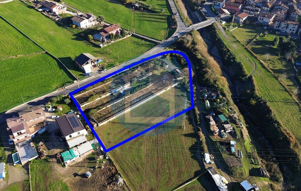 immagine annuncio 4 di 7