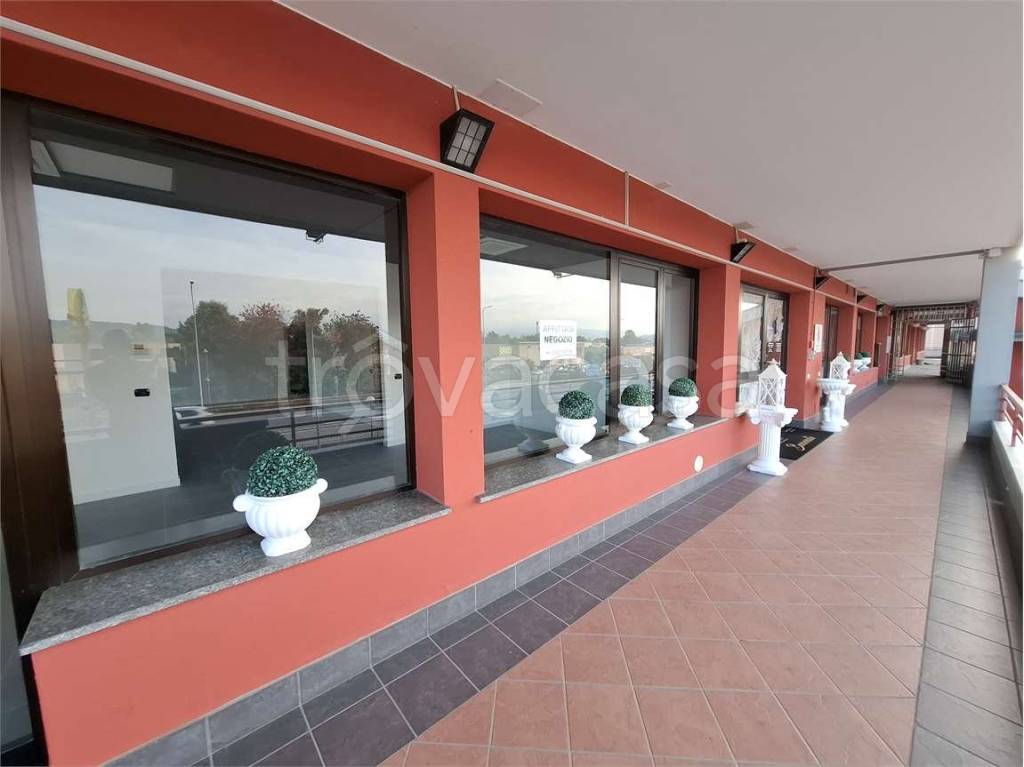 immagine annuncio 3 di 6