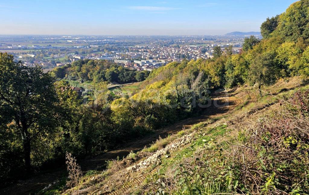 immagine annuncio 4 di 12