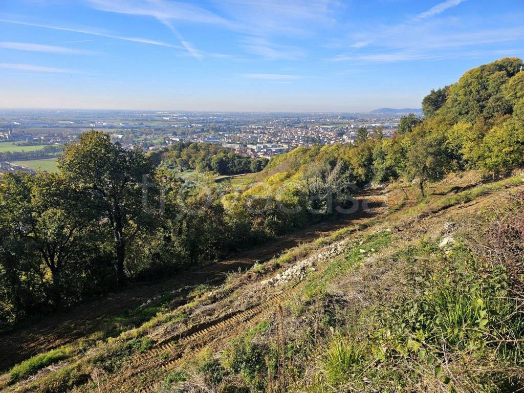 immagine annuncio 5 di 12