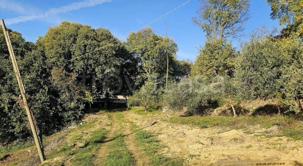 immagine annuncio 6 di 12