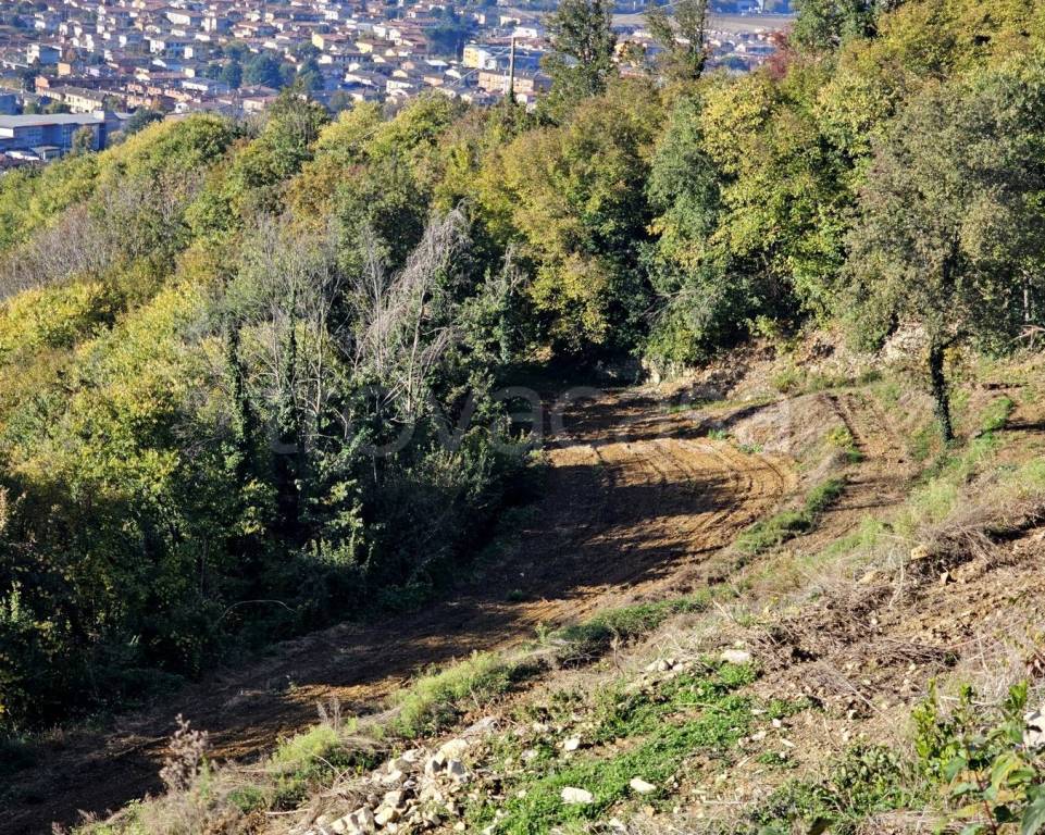 immagine annuncio 8 di 12