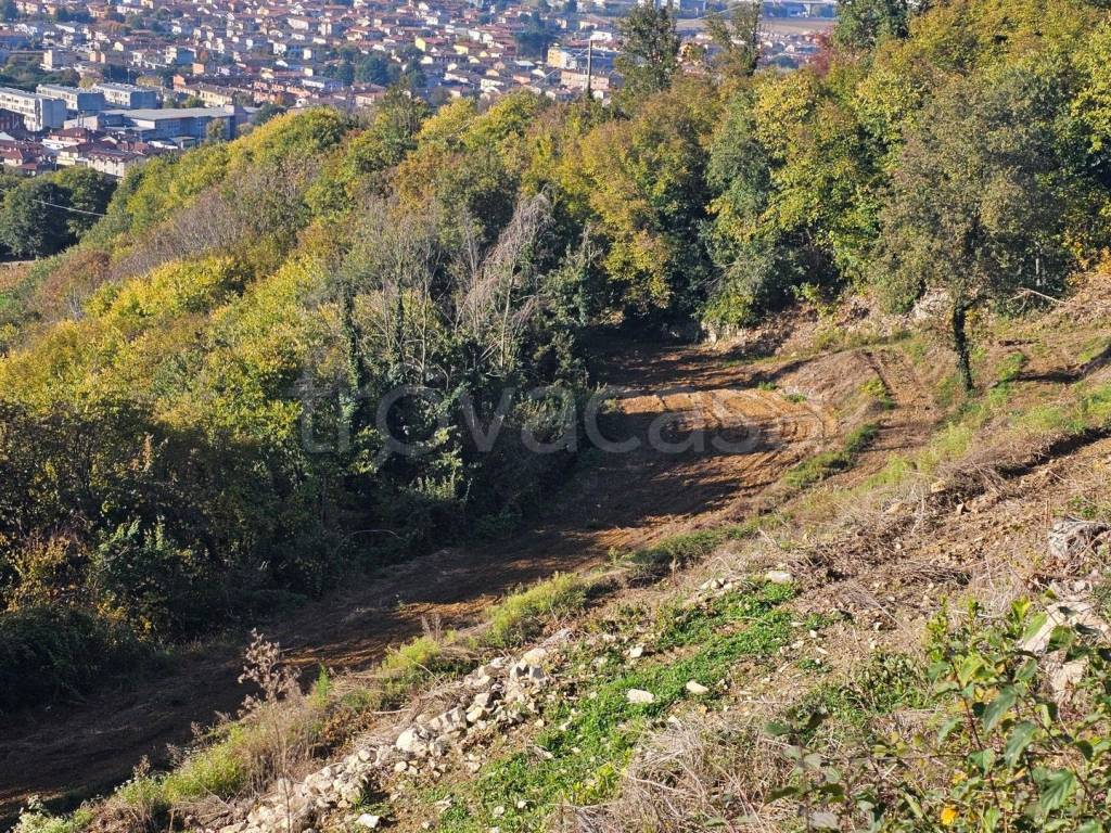 immagine annuncio 9 di 12