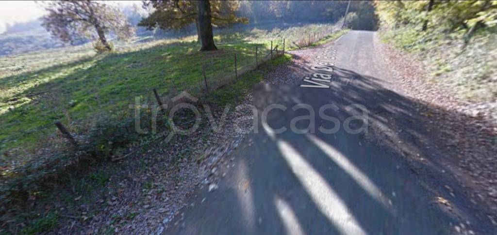 immagine annuncio 11 di 14