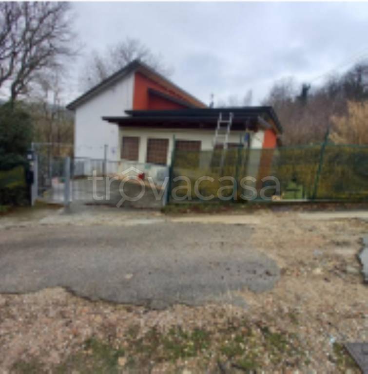 immagine annuncio 5 di 11