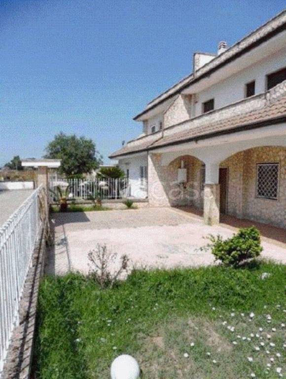 immagine annuncio 5 di 6