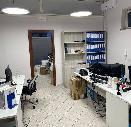 immagine annuncio 3 di 7