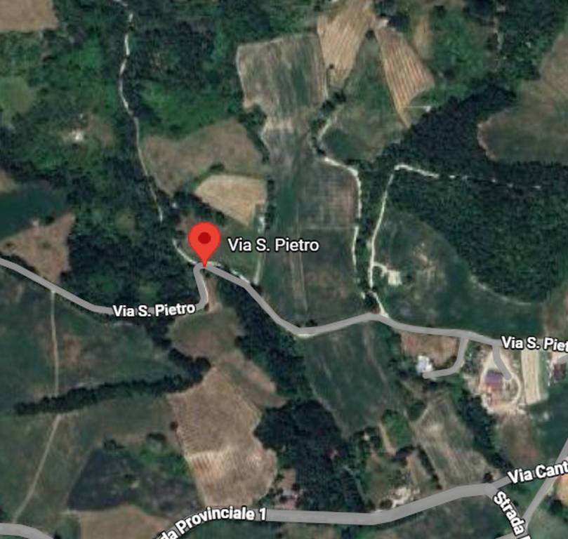 immagine annuncio 4 di 11