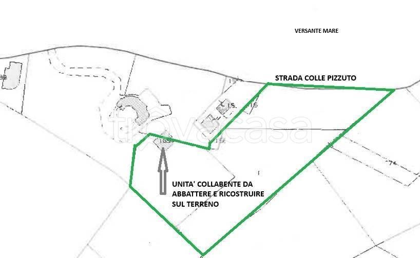 immagine annuncio 2 di 7