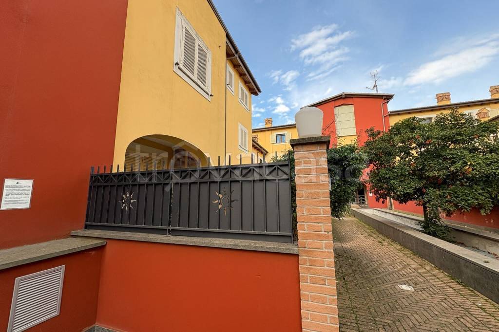 immagine annuncio 3 di 15