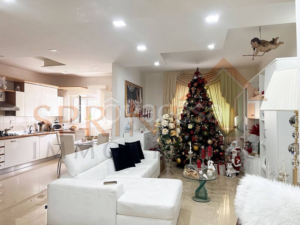 immagine annuncio 3 di 12