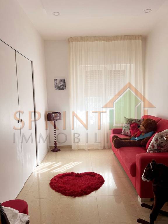 immagine annuncio 8 di 12