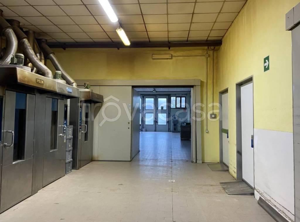 immagine annuncio 3 di 12