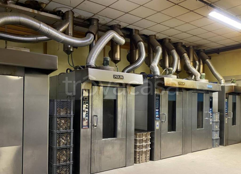 immagine annuncio 4 di 12