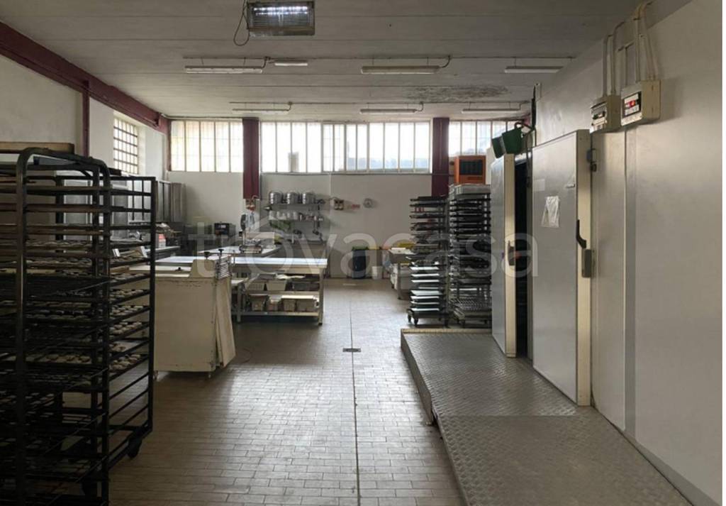 immagine annuncio 6 di 12