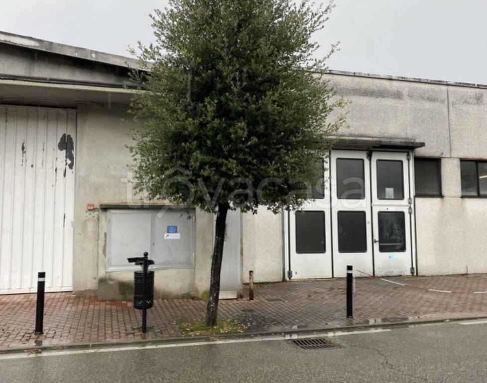 immagine annuncio 10 di 12