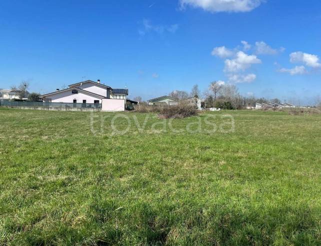 immagine annuncio 9 di 12