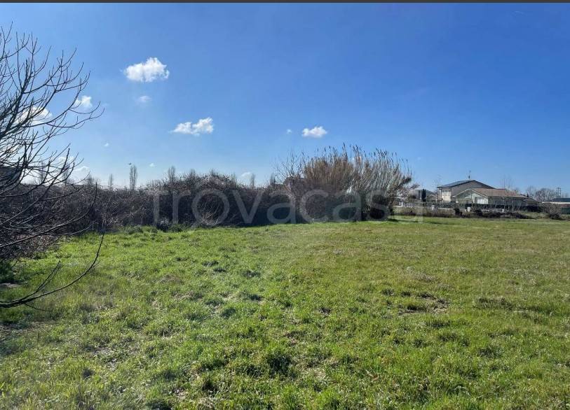 immagine annuncio 4 di 14