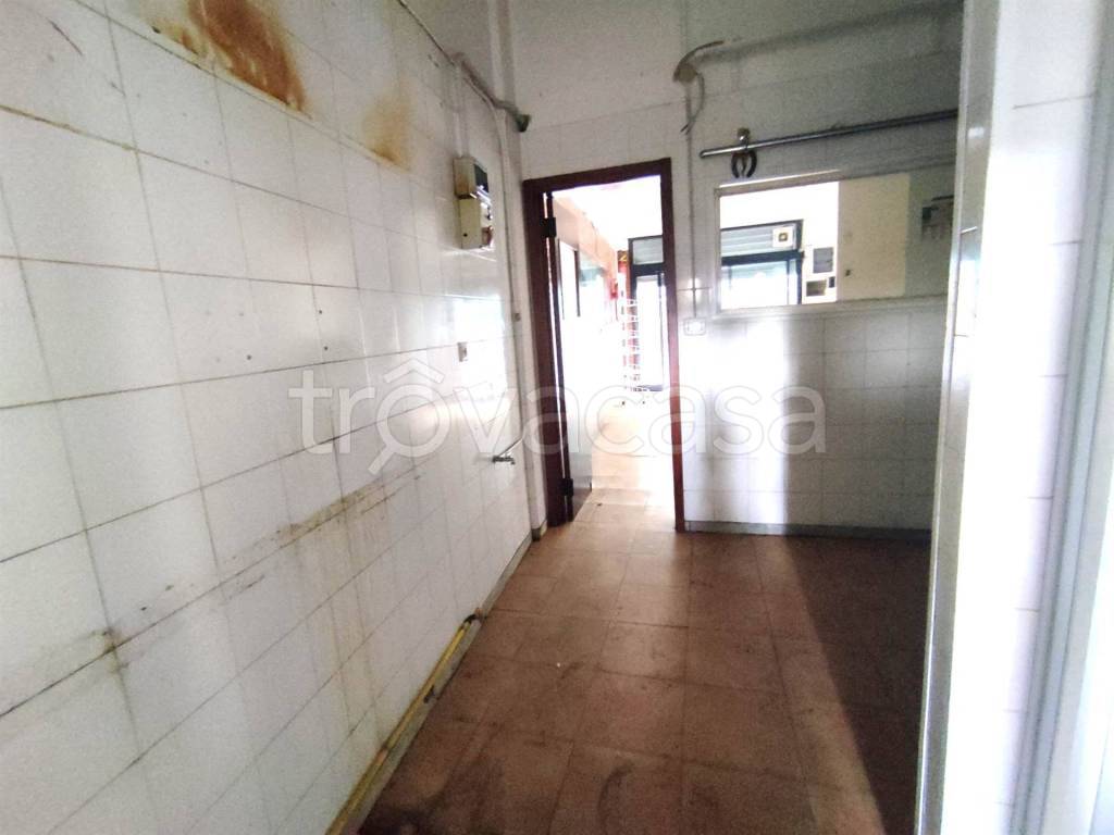 immagine annuncio 3 di 7