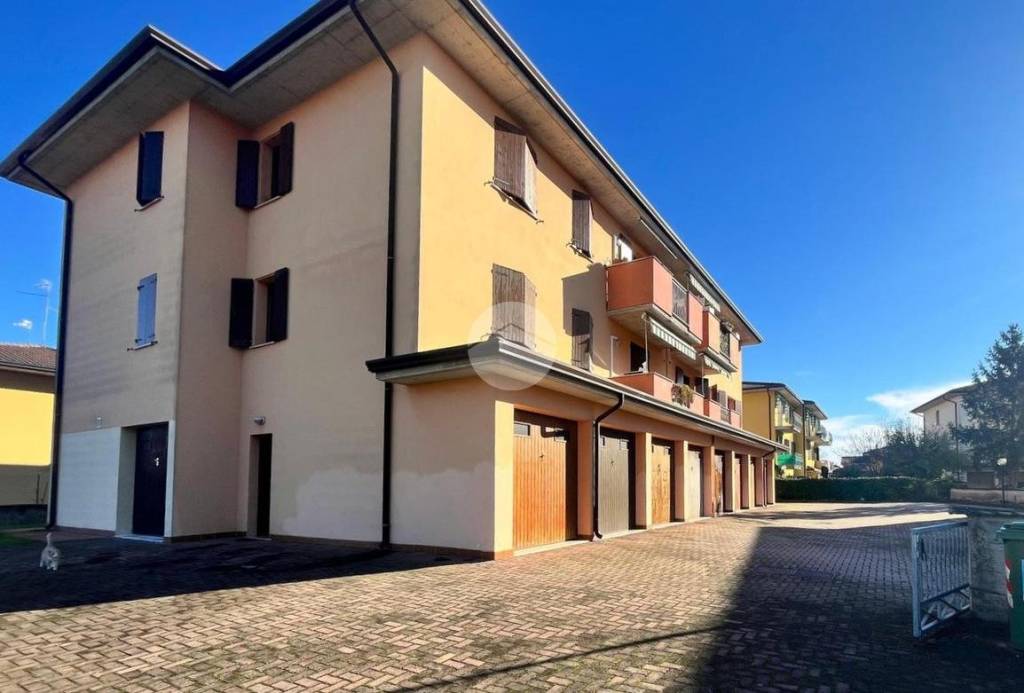 immagine annuncio 12 di 13