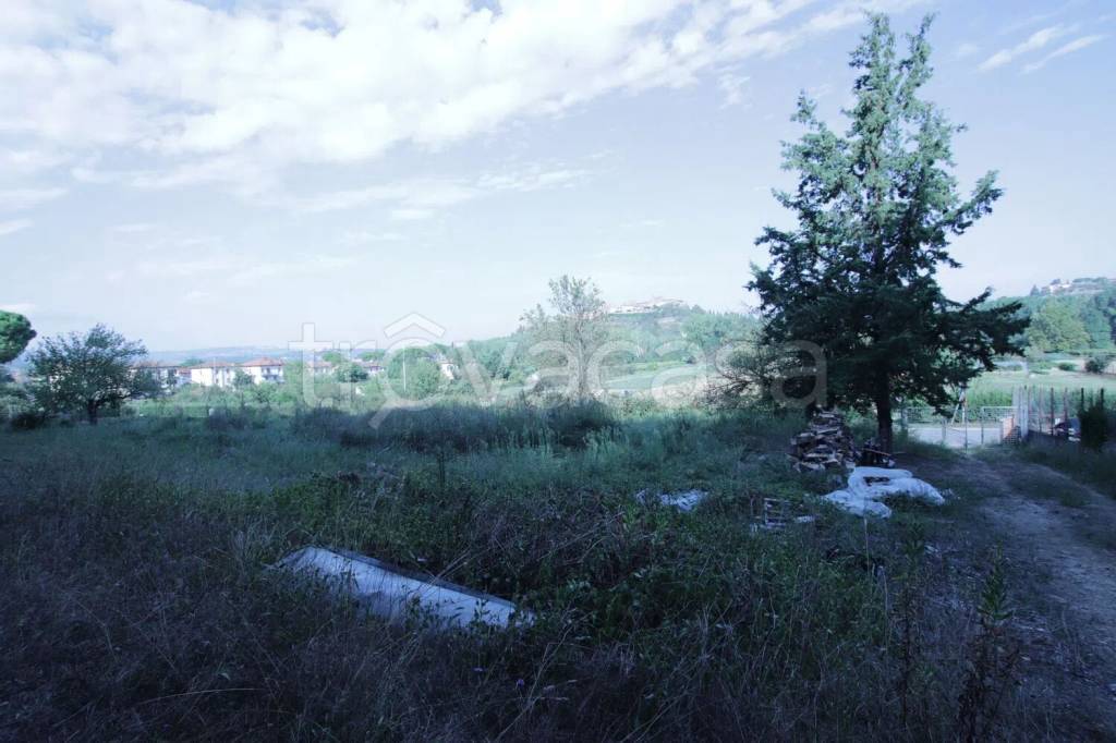 immagine annuncio 6 di 13