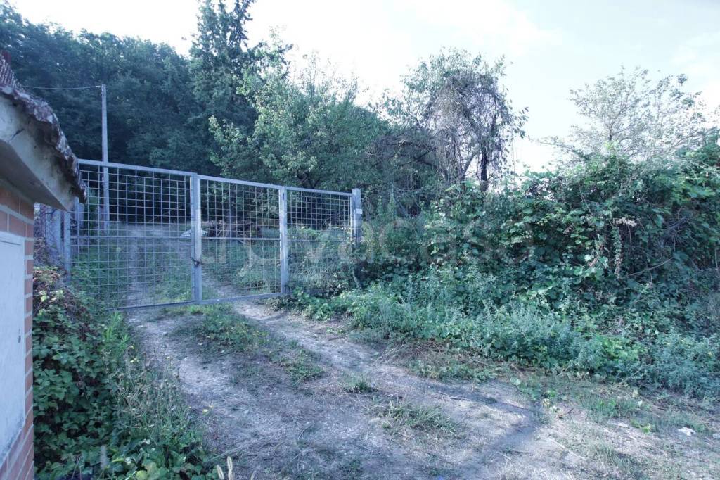 immagine annuncio 8 di 13